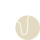 tooth icon